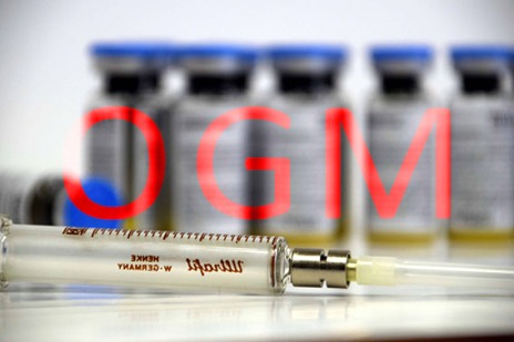 Vaccin-OGM