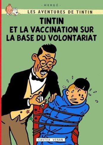 Tintin_Vaccination_Volontaire