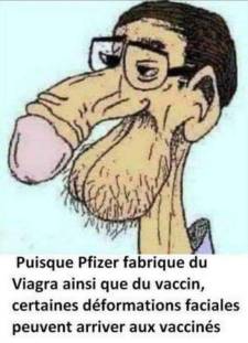 Pfizer_viagra_vax